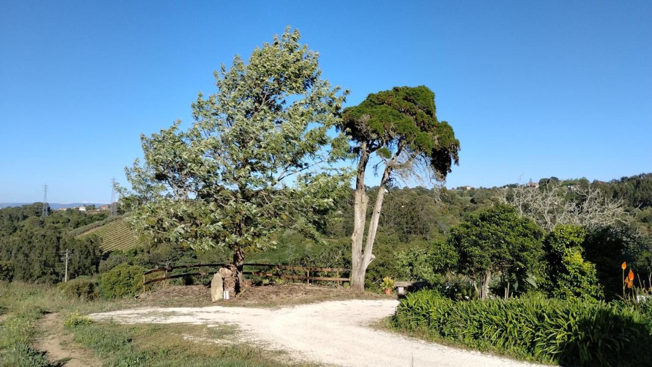 Quinta Do Oratorio Agroturismo Óbidos المظهر الخارجي الصورة